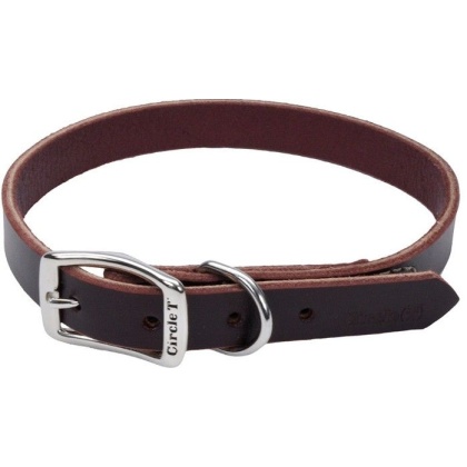 Circle T Latigo Leather Town Collar