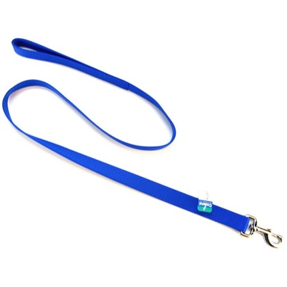 Coastal Pet Single Nylon Lead - Blue