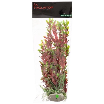 Aquatop Hygro Aquarium Plant - Red & Green