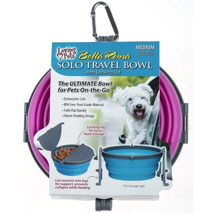 Loving Pets Bella Roma Pink Travel Bowl