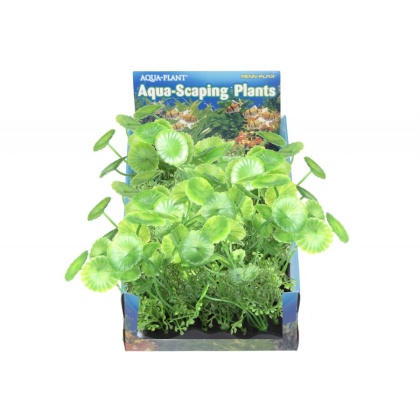 Penn Plax Pennywort Bunch Plant Medium