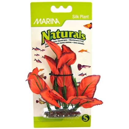 Marina Silk Foreground Aquarium Plant - Red