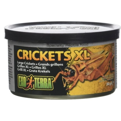 Exo Terra Canned Crickets XL Specialty Reptile Food