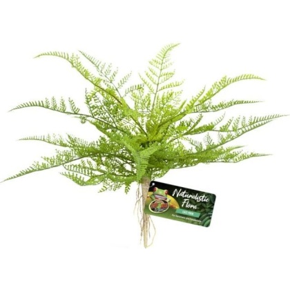 Zoo Med Naturalistic Flora Lace Fern