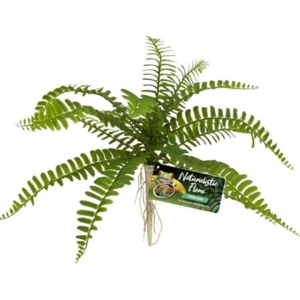 Zoo Med Naturalistic Flora Sword Fern